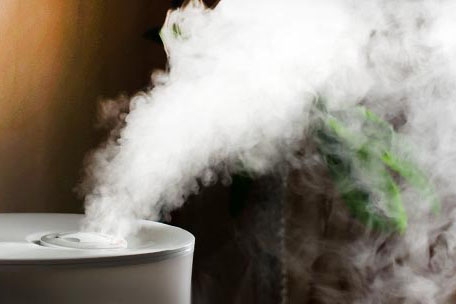 何為調溫草莓视频污污污污