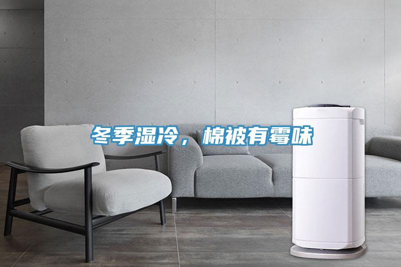 冬季濕冷，棉被有黴味