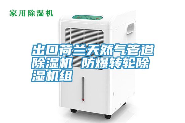 出口荷蘭天然氣管道草莓视频污污污污 防爆轉輪草莓视频污污污污組