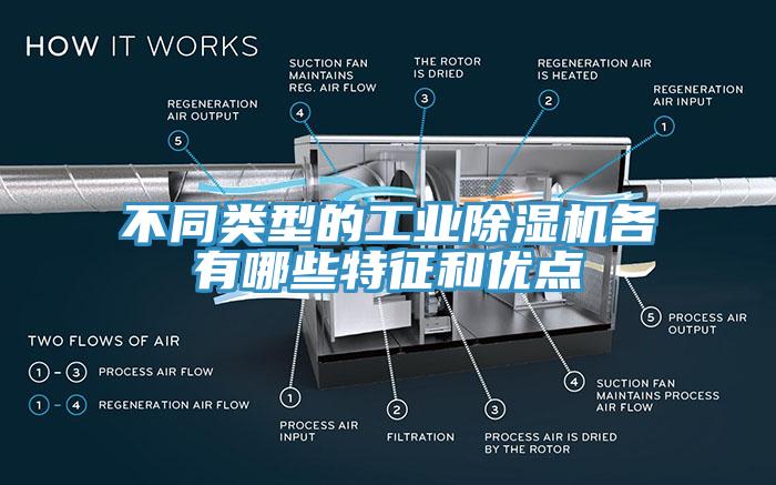 不同類型的工業草莓视频污污污污各有哪些特征和優點