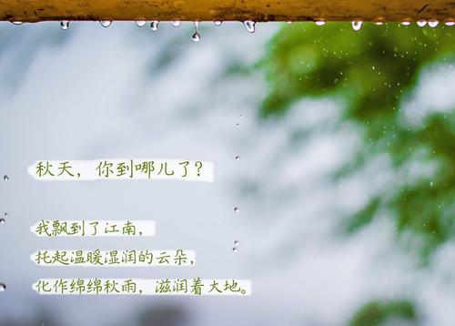 “無晴”陰雨天 “有晴”草莓视频污污污污
