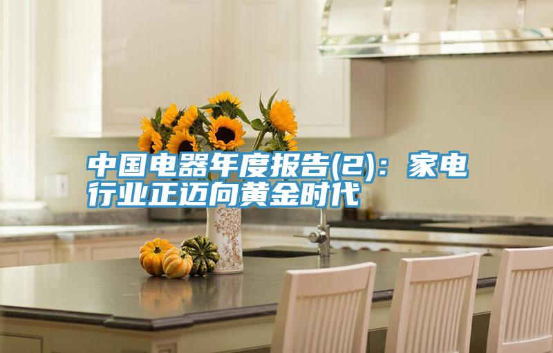 中國電器年度報告(2)：家電行業正邁向黃金時代