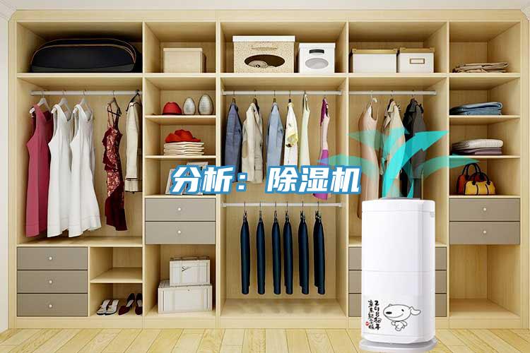 分析：草莓视频污污污污