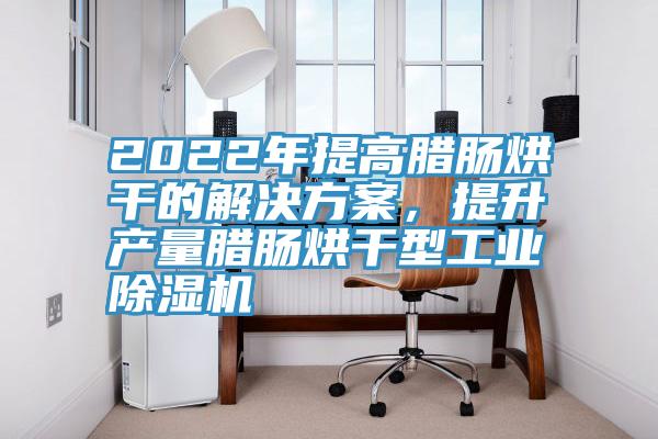 2022年提高臘腸烘幹的解決方案，提升產量臘腸烘幹型工業草莓视频污污污污