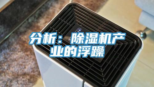 分析：草莓视频污污污污產業的浮躁