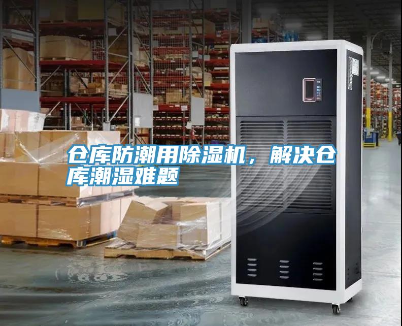 倉庫防潮用草莓视频污污污污，解決倉庫潮濕難題
