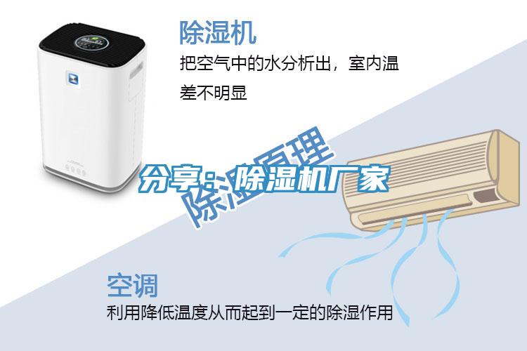 分享：草莓视频污污污污廠家