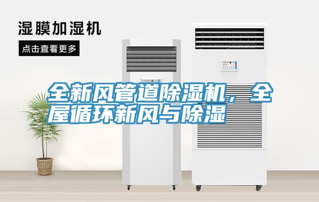 全新風管道草莓视频污污污污，全屋循環新風與除濕