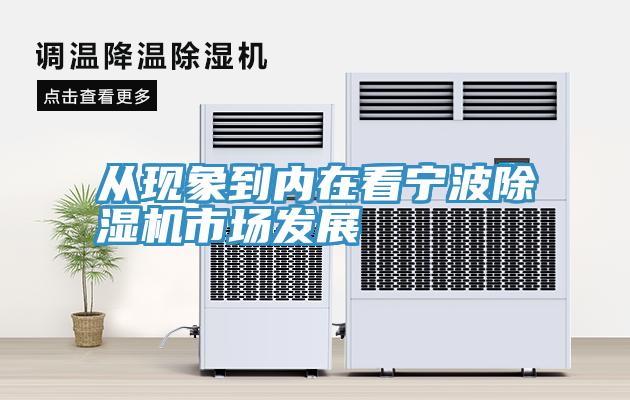 從現象到內在看寧波草莓视频污污污污市場發展