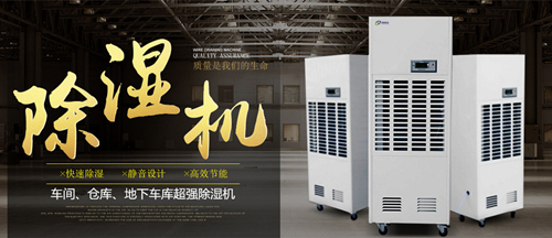 草莓视频污污污污