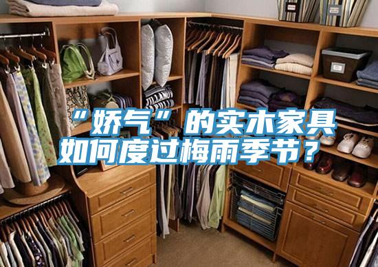 “嬌氣”的實木家具如何度過梅雨季節？