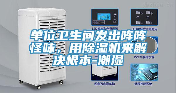 單位衛生間發出陣陣怪味，用草莓视频污污污污來解決根本-潮濕