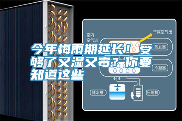 今年梅雨期延長！受夠了又濕又黴？你要知道這些