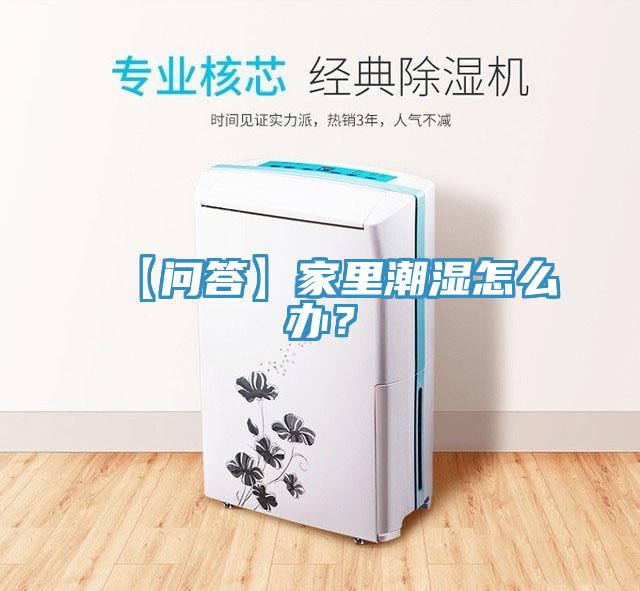 【問答】家裏潮濕怎麽辦？