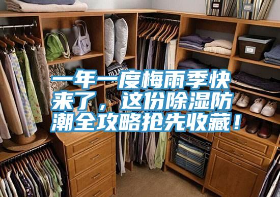 一年一度梅雨季快來了，這份除濕防潮全攻略搶先收藏！