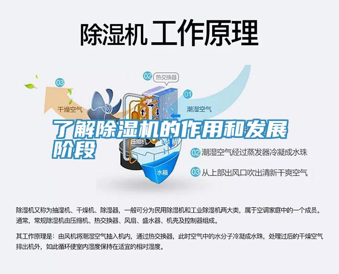 了解草莓视频污污污污的作用和發展階段