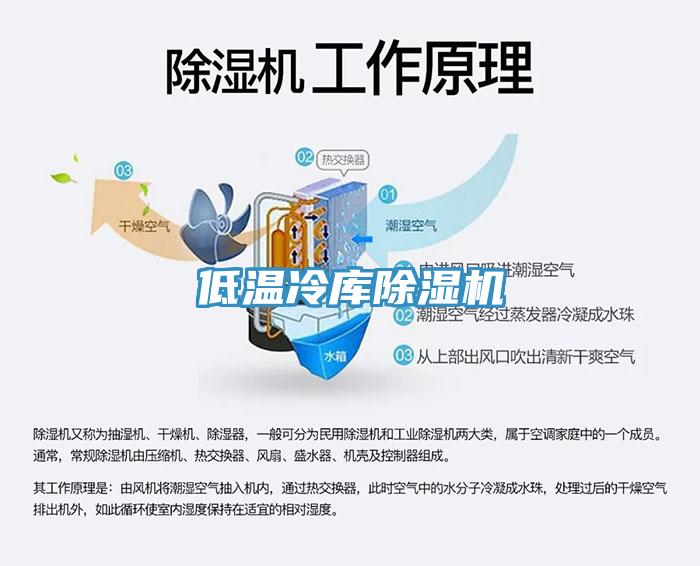低溫冷庫草莓视频污污污污