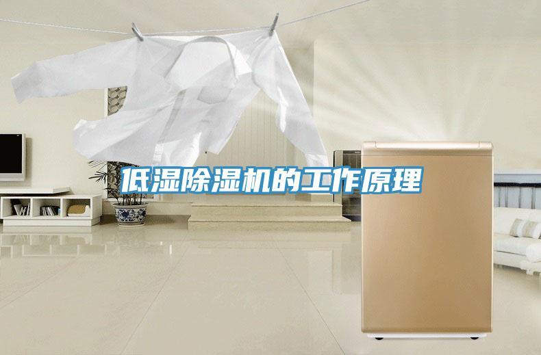 低濕草莓视频污污污污的工作原理