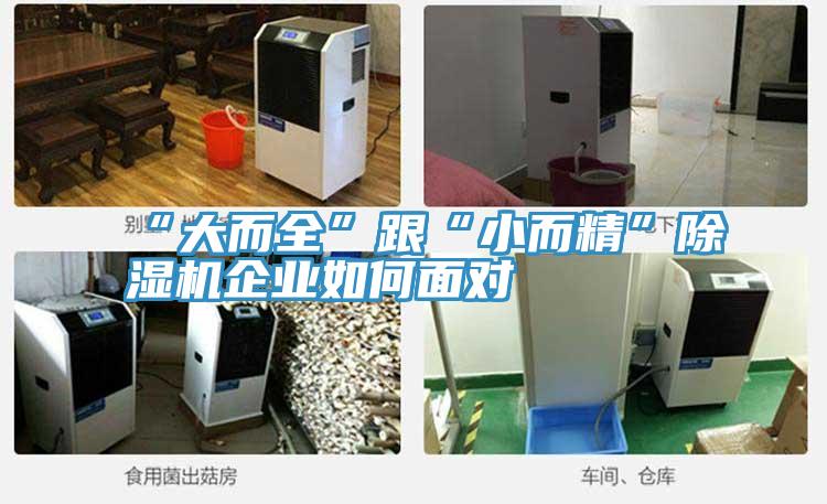 “大而全”跟“小而精”草莓视频污污污污企業如何麵對