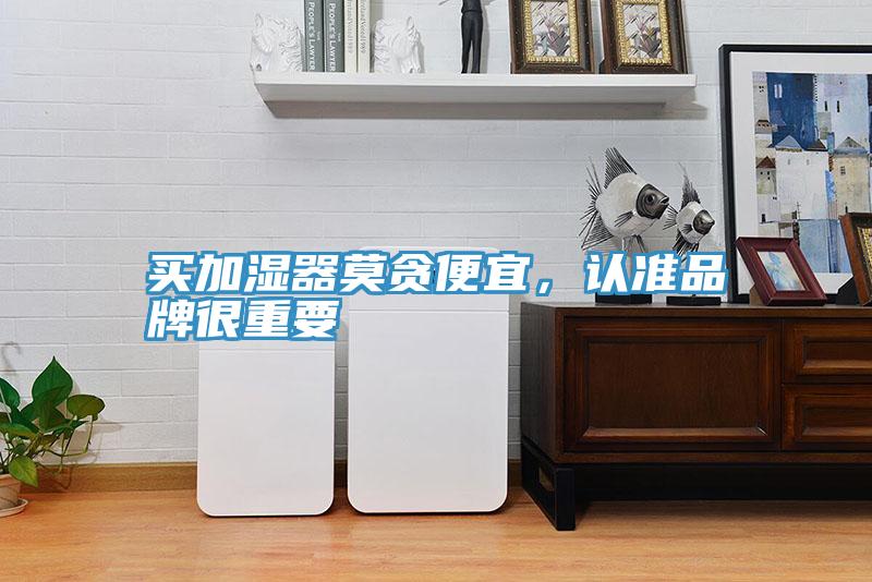 買加濕器莫貪便宜，認準品牌很重要