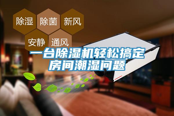 一台草莓视频污污污污輕鬆搞定房間潮濕問題