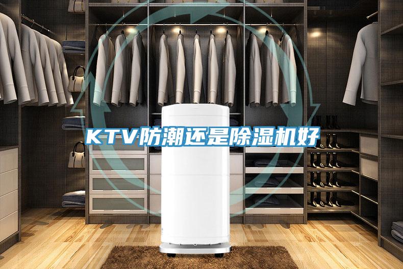 KTV防潮還是草莓视频污污污污好