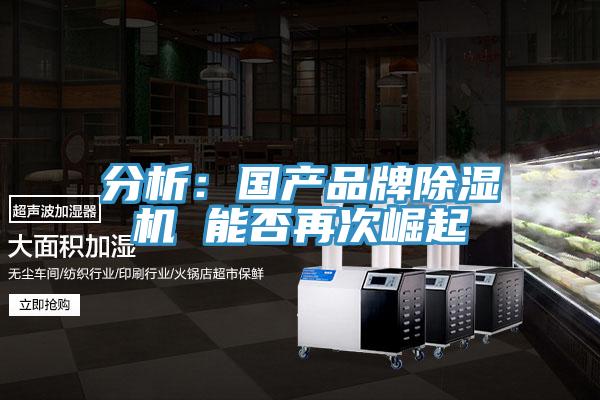 分析：國產品牌草莓视频污污污污 能否再次崛起