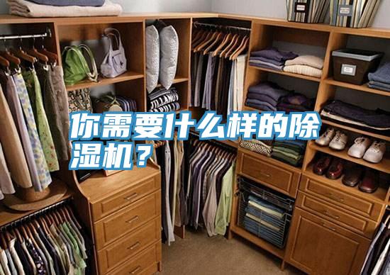 你需要什麽樣的草莓视频污污污污？
