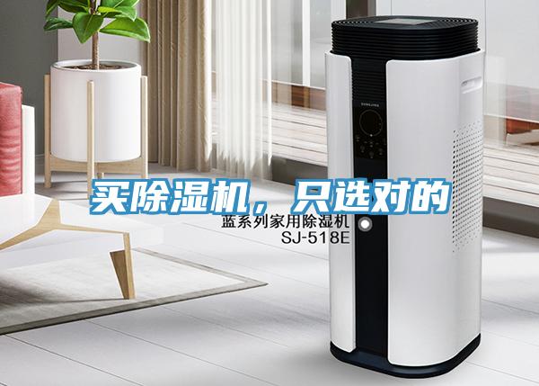 買草莓视频污污污污，隻選對的