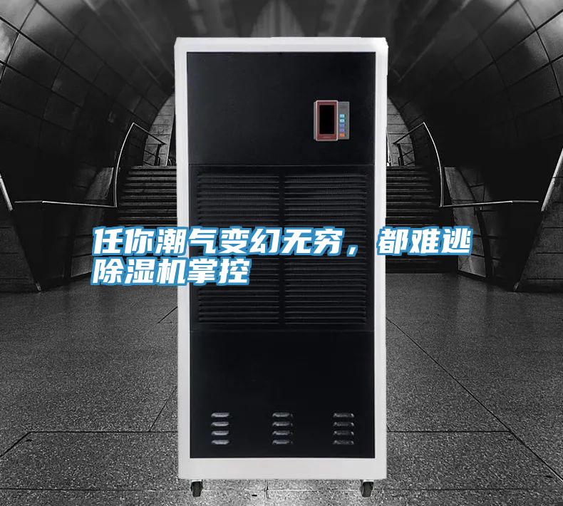 任你潮氣變幻無窮，都難逃草莓视频污污污污掌控