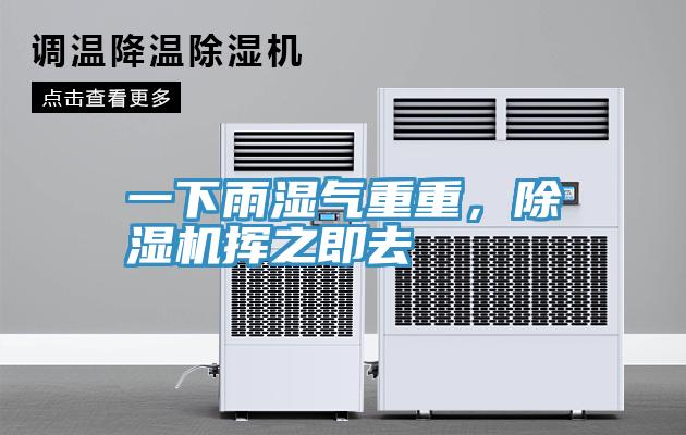 一下雨濕氣重重，草莓视频污污污污揮之即去