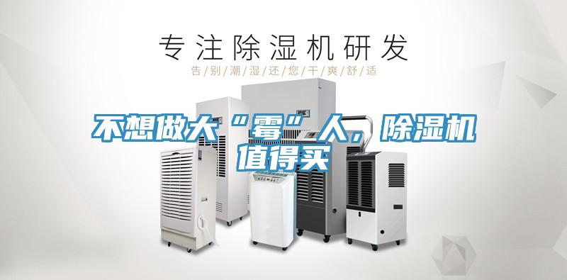 不想做大“黴”人，草莓视频污污污污值得買