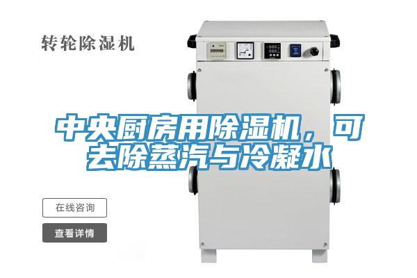 中央廚房用草莓视频污污污污，可去除蒸汽與冷凝水