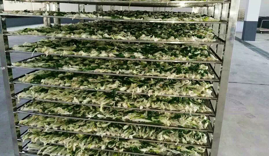 菜幹需求一直都很大，蔬菜烘幹機很有市場