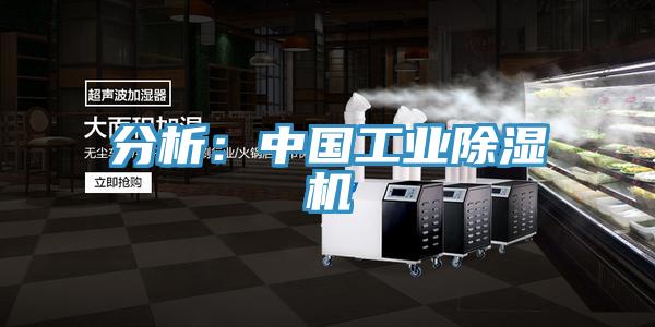 分析：中國工業草莓视频污污污污