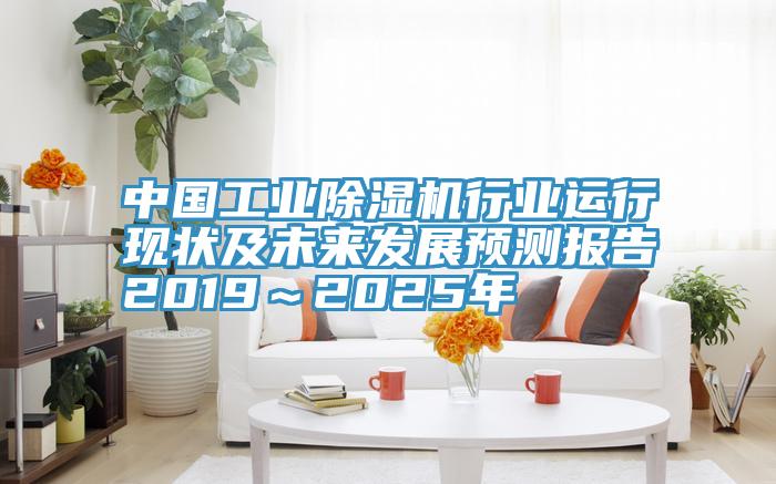 中國工業草莓视频污污污污行業運行現狀及未來發展預測報告2019～2025年