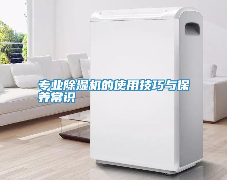 專業草莓视频污污污污的使用技巧與保養常識