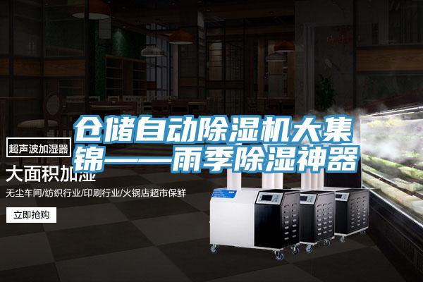 倉儲自動草莓视频污污污污大集錦——雨季除濕神器