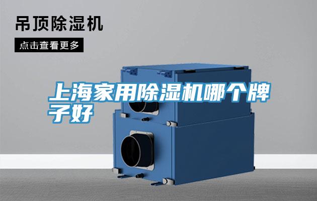上海家用草莓视频污污污污哪個牌子好