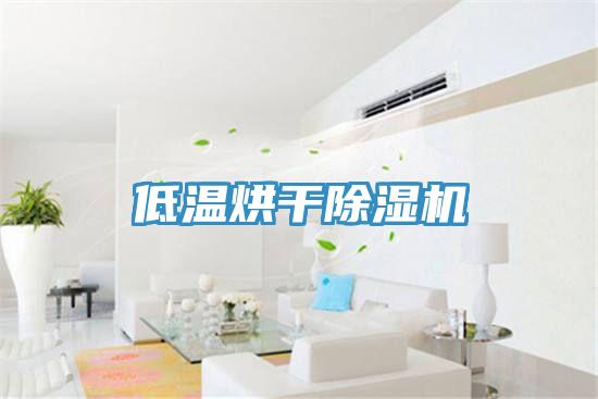 低溫烘幹草莓视频污污污污