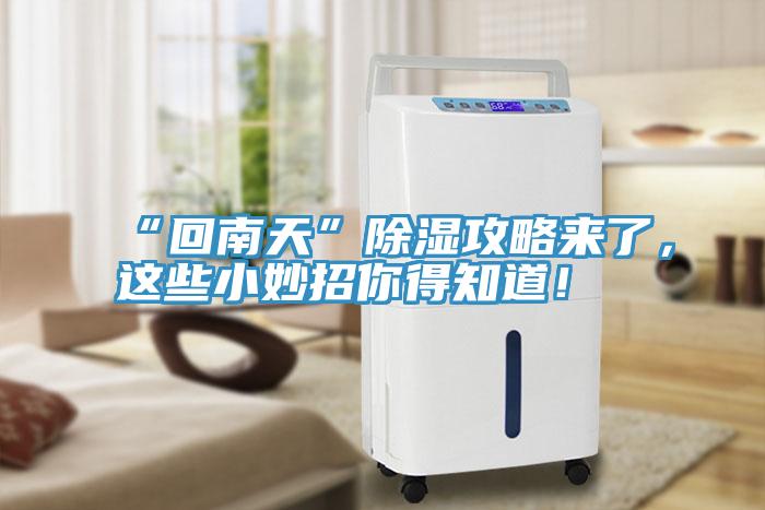 “回南天”除濕攻略來了，這些小妙招你得知道！