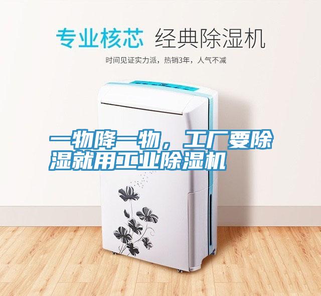 一物降一物，工廠要除濕就用工業草莓视频污污污污