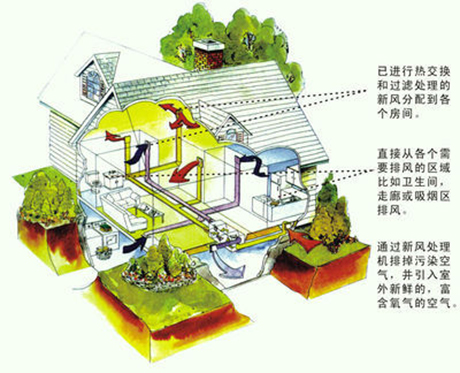 工業草莓视频污污污污廠家
