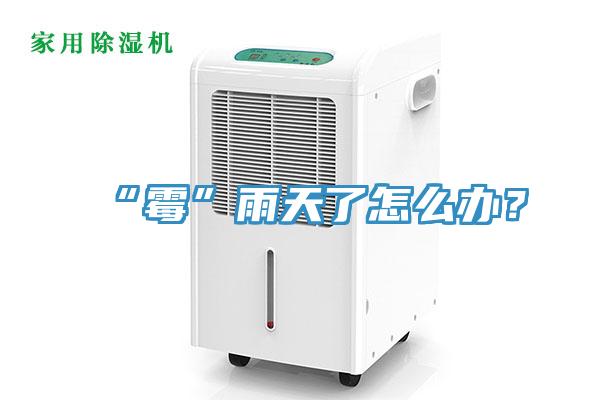 “黴”雨天了怎麽辦？