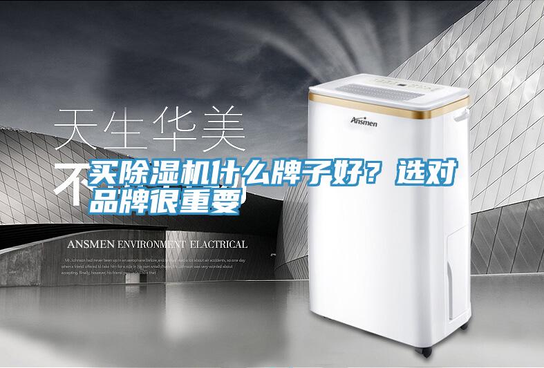 買草莓视频污污污污什麽牌子好？選對品牌很重要