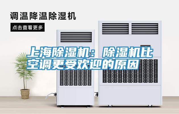 上海草莓视频污污污污：草莓视频污污污污比空調更受歡迎的原因