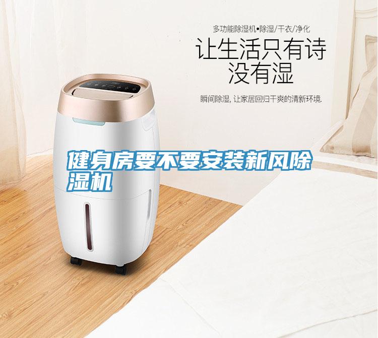 健身房要不要安裝新風草莓视频污污污污
