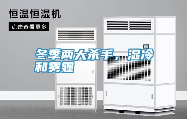 冬季兩大殺手，濕冷和霧霾