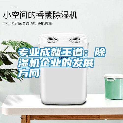 專業成就王道：草莓视频污污污污企業的發展方向