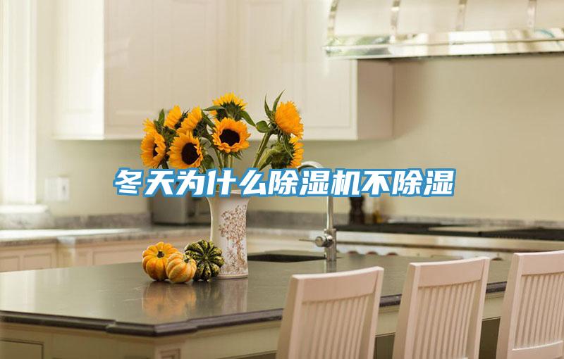 冬天為什麽草莓视频污污污污不除濕